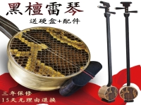 河南墜子三弦墜胡(河南墜子三月三原唱)