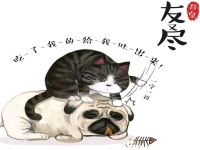 豫劇馮玉增簡介(豫劇馮玉增簡介百度百科)