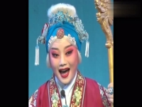 豫劇mp3免費下載(豫劇下載免費mp3下載網址)