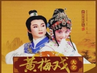 戲曲大全完整版(戲曲大全完整版視頻播放)