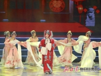 2019春節戲曲晚會(2019年春節戲曲晚會)