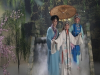 白蛇傳越劇(白蛇傳越劇簡介)