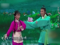 黃梅戲選段對花(黃梅戲對花唱段詞)