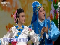 黃梅戲歌梅花戀原唱(黃梅戲歌梅花戀原唱視頻)