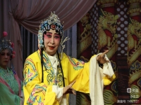 河北梆子打金枝君妃對唱伴奏(河北梆子打金枝君妃對唱伴奏譜)