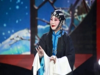 陜西戲曲頻道秦之聲(陜西電視臺秦腔秦之聲)