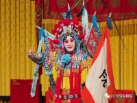 豫劇穆桂英掛帥馬金鳳(豫劇穆桂英掛帥馬金鳳演唱轅門外三聲炮)