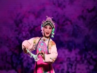 陜西的戲劇叫什么劇(陜西的戲劇叫什么劇種)