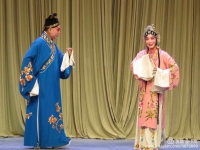王冠麗演唱的評劇(王冠麗演唱的評劇見皇姑)