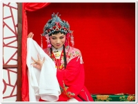 黃梅戲碧玉簪(黃梅戲碧玉簪嚴(yán)鳳英)