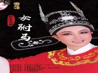 黃梅戲女駙馬嚴鳳英版(黃梅戲女駙馬嚴鳳英版黃梅戲對花)