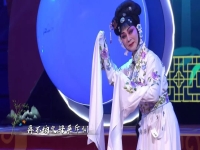楚劇經典劇目(楚劇經典劇目介紹)