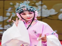 淮劇陳德林嘆月思親(淮劇王少春嘆月思親1)