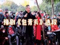 豫劇《包青天》唱段(豫劇包青天唱段簡譜)