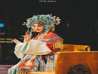 貴妃醉酒(京劇)(貴妃醉酒京劇 李勝素)
