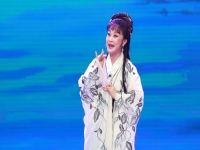 黃梅戲孔雀東南飛原唱(黃梅戲孔雀東南飛原唱是誰)