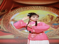 包含黃梅戲龍女新版完整版的詞條