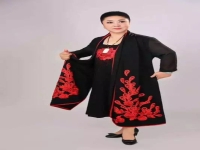 晉劇趙佳簡介(晉劇趙文婷全本)