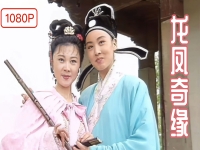 現(xiàn)代黃梅戲電視劇(現(xiàn)代黃梅戲歌曲大全100首)