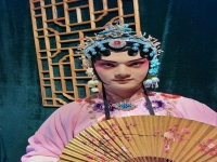 中國戲曲的特征(中國戲曲的特征包括)