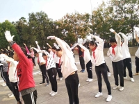 戲劇操廣播體操(戲劇操廣播體操背面教學)