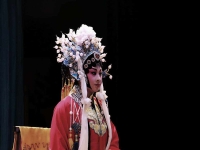 秦腔折子戲斬秦英竇鳳琴(秦腔折子戲斬秦英竇鳳琴老師主演)