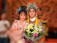 黃梅戲孟麗君10集高清(黃梅戲孟麗君10集高清版)