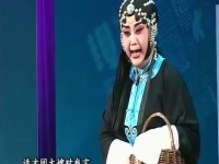 秦腔趕坡視頻(秦腔趕坡全折視頻)