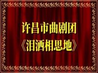 許昌市曲劇淚灑相思地(河南省曲劇團淚灑相思地全劇)