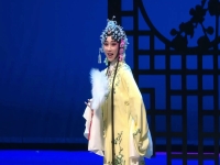 廬劇昂小紅秦雪梅吊孝(安徽廬劇昂小紅秦雪梅吊孝3)