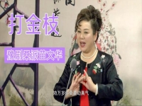 豫劇伴奏勸萬歲(豫劇伴奏勸萬歲莫要動真氣慢板)