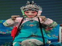肖玉玲秦腔探窯(肖玉玲秦腔探窯唱詞)