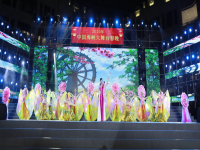 抽青絲黃梅戲原唱的簡單介紹