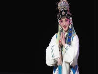 昆曲牡丹亭魏春榮(昆曲牡丹亭魏春榮游園)