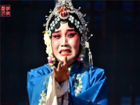 晉劇任舒靜簡介(看晉劇任鑫愛清唱)