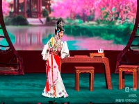 京劇王艷比李勝素更好的簡(jiǎn)單介紹
