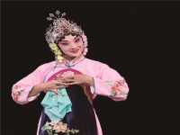 上黨梆子陳素琴全場(上黨梆子陳素琴梅花獎比賽視頻)