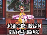 秦腔李艷妃全本唱詞(秦腔經典唱段300首李淑芳)