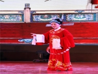 舞蹈黃梅戲女駙馬(黃梅戲女駙馬分解動作視頻)