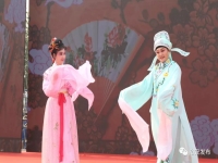黃梅戲三月桃花(黃梅戲三月桃花遇風(fēng)寒唱詞)