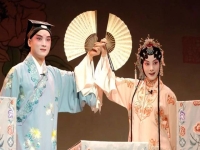 戲曲麻風(fēng)女傳奇簡介(戲曲麻風(fēng)女傳奇簡介內(nèi)容)