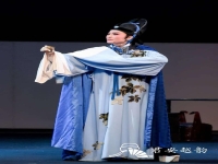 王君安越劇經典選段的簡單介紹
