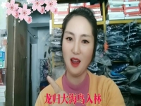 黃梅戲龍歸大海(黃梅戲龍歸大海鳥入林原唱)