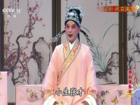 評劇桃花庵選段(評劇桃花庵選段一見藍(lán)衫曲譜)