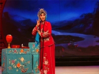 河北梆子張秋玲夫妻(河北梆子張秋玲師從何人)