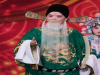 王中女京劇唱段(京劇演員王中女演出視頻)