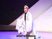 黃梅戲謝軍哪年生的(黃梅戲演員謝軍演唱的黃梅戲)