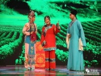 張鈺東豫劇全集(張鈺東演唱的豫劇選段)