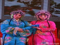 免費(fèi)下載曲劇(下載一個(gè)曲劇視頻大全)