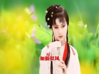 河南豫劇薛丁山哭靈(豫劇薛丁山哭靈完整版)